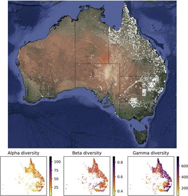 Estimating Alpha, Beta, and Gamma Diversity Through Deep Learning